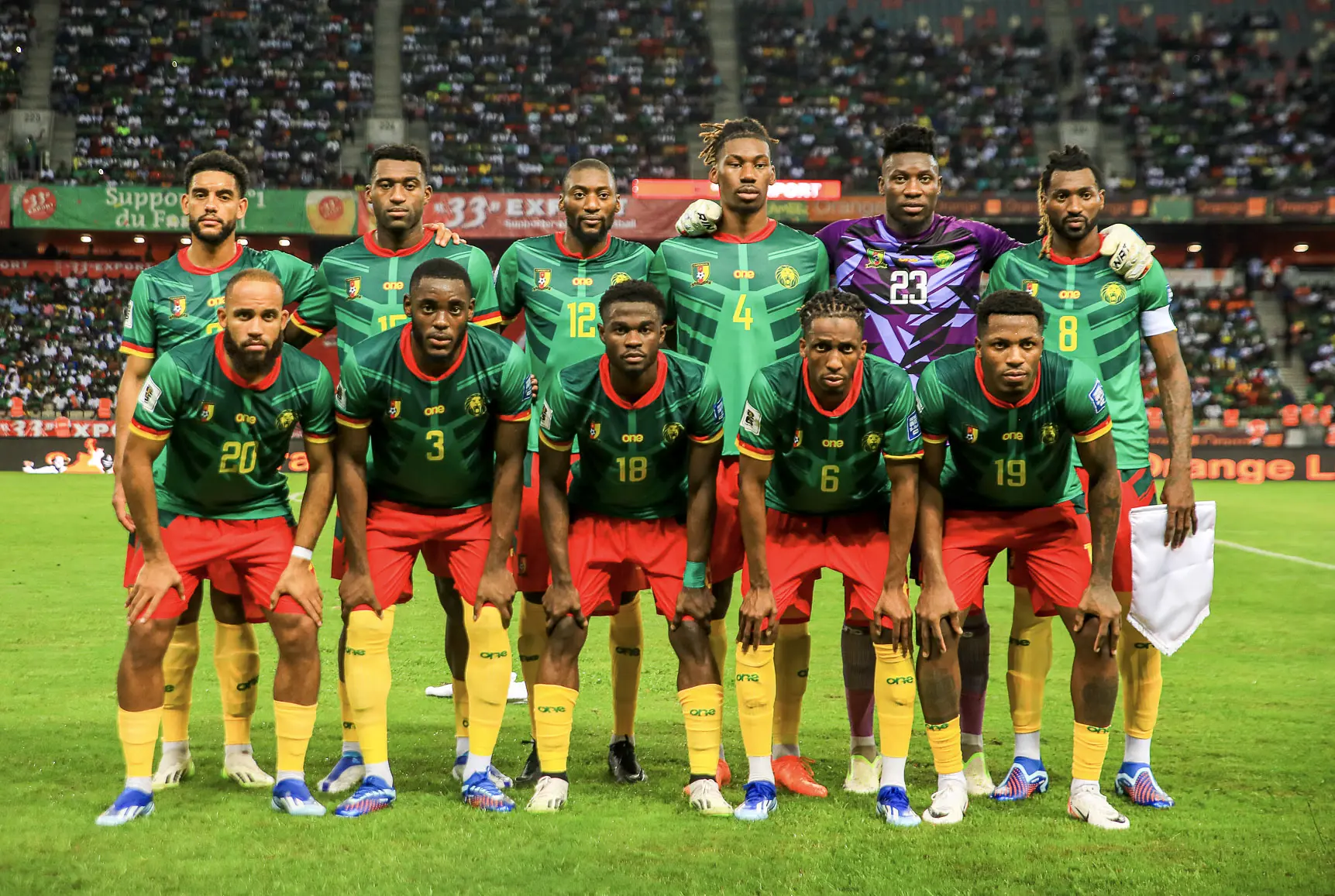 Lion Indomtable Du Cameroun